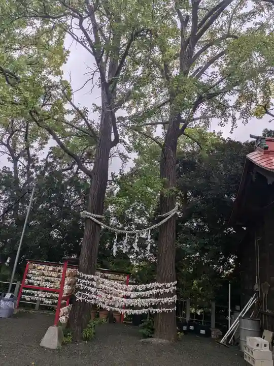 多摩川浅間神社(東京都)