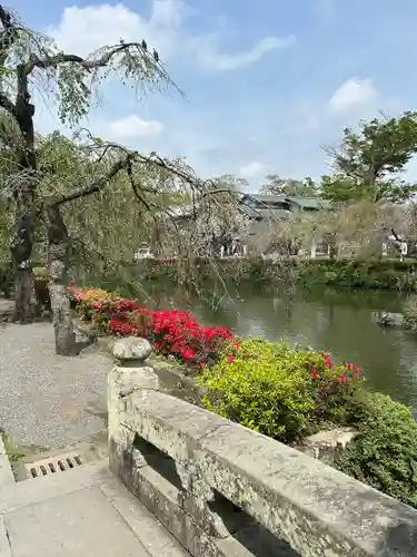 三嶋大社(静岡県)