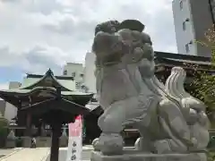 柏神社の狛犬