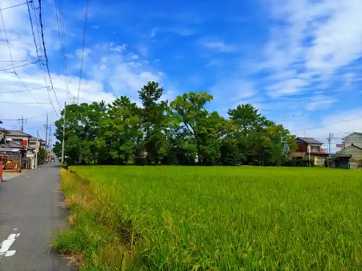 西宮神社の自然