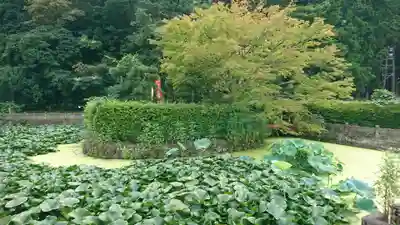 蓮池弁財尊天(宮城県)