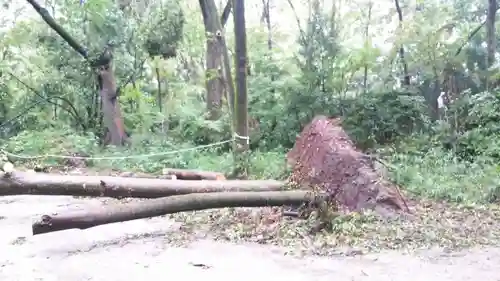 賀茂御祖神社（下鴨神社）のその他建物