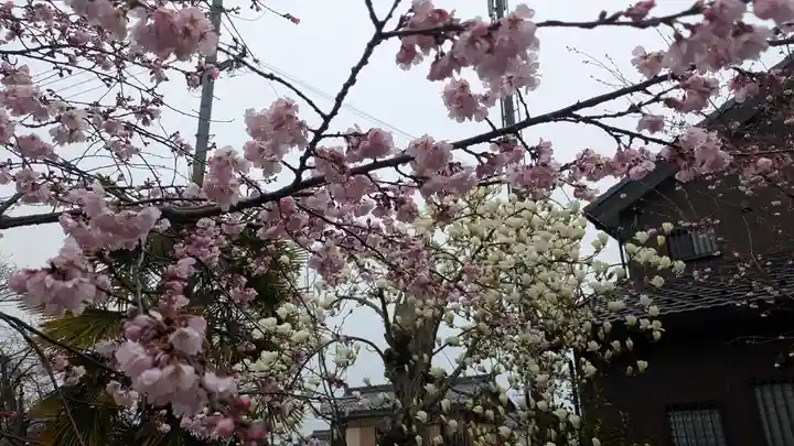蓮経寺(滋賀県)