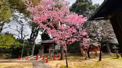 御香宮神社(京都府)