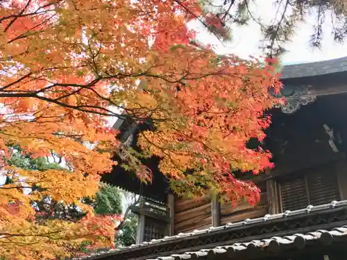 新日吉神宮の本殿・本堂