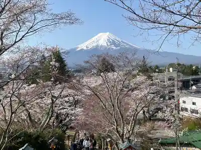 新倉富士浅間神社(山梨県)