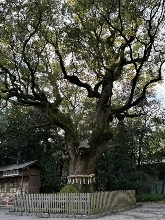 熱田神宮(愛知県)
