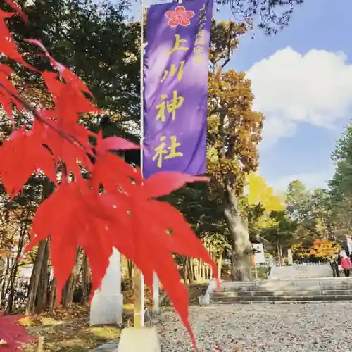 上川神社の自然