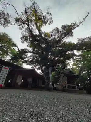 座間神社(神奈川県)