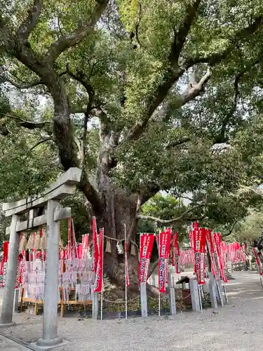 楠珺社（住吉大社末社）の自然