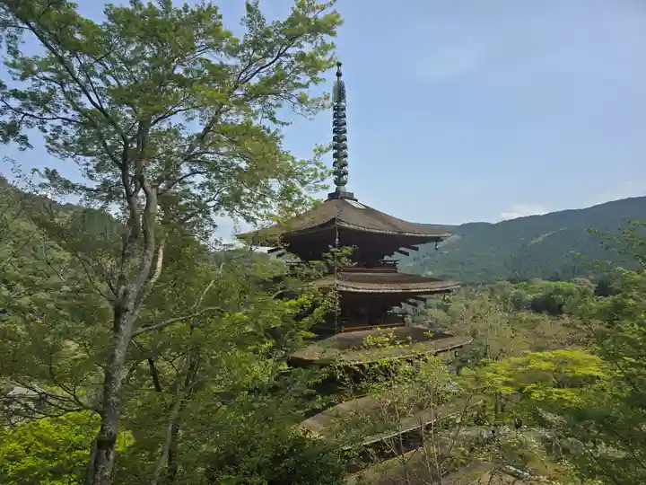 長谷寺(奈良県)