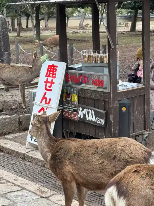 東大寺(奈良県)