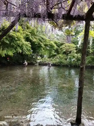 富士山本宮浅間大社の庭園