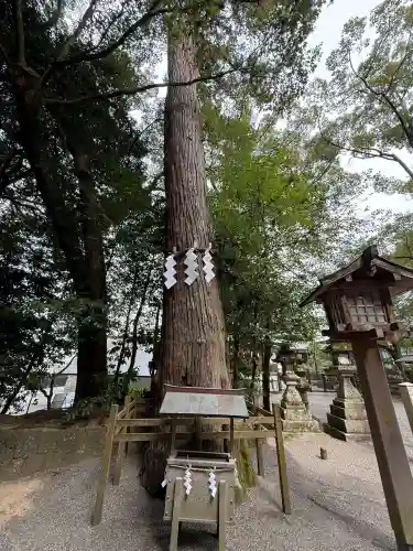 石上神宮(奈良県)