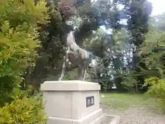 福井県護国神社の狛犬