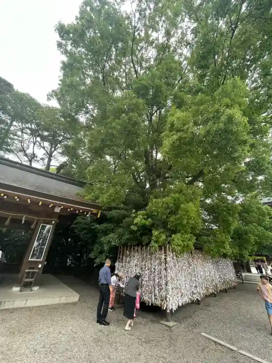 寒川神社の{uncategorized: "未分類", other: "その他", undefined: "問題あり", building: "その他建物", grave: "お墓", sacred_gate: "鳥居", guardian: "狛犬", statue: "像", buddha: "仏像", history: "歴史", nature: "自然", garden: "庭園", animal: "動物", pagoda: "塔", temizu: "手水舎", mountain_gate: "山門・神門", sanctuary: "本殿・本堂", subordinate: "末社・摂社", art: "芸術", scenery: "景色", jizo: "地蔵", ema: "絵馬", goshuin: "御朱印", omikuji: "おみくじ", items: "授与品その他", amulet: "お守り", goshuincho: "御朱印帳", eats: "食事", festival: "お祭り", votive_dance: "神楽", shichigosan: "七五三参", wedding: "結婚式", experience: "体験その他", initially: "初詣", around: "周辺", anti_infection: "感染症対策"}