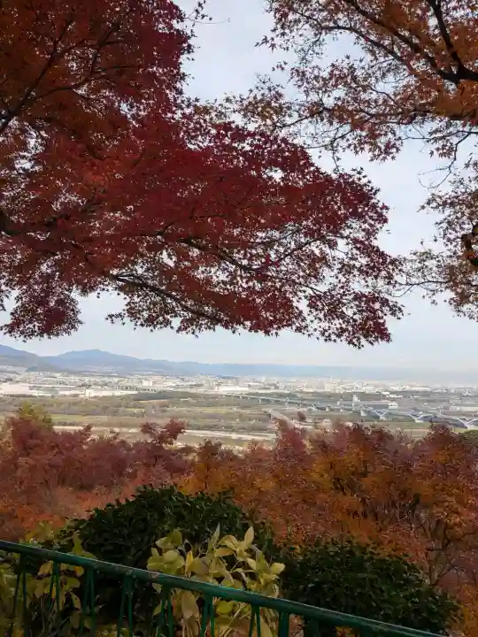 石清水八幡宮の{uncategorized: "未分類", other: "その他", undefined: "問題あり", building: "その他建物", grave: "お墓", sacred_gate: "鳥居", guardian: "狛犬", statue: "像", buddha: "仏像", history: "歴史", nature: "自然", garden: "庭園", animal: "動物", pagoda: "塔", temizu: "手水舎", mountain_gate: "山門・神門", sanctuary: "本殿・本堂", subordinate: "末社・摂社", art: "芸術", scenery: "景色", jizo: "地蔵", ema: "絵馬", goshuin: "御朱印", omikuji: "おみくじ", items: "授与品その他", amulet: "お守り", goshuincho: "御朱印帳", eats: "食事", festival: "お祭り", votive_dance: "神楽", shichigosan: "七五三参", wedding: "結婚式", experience: "体験その他", initially: "初詣", around: "周辺", anti_infection: "感染症対策"}