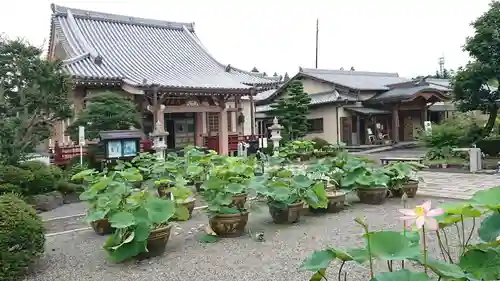 代通寺の本殿