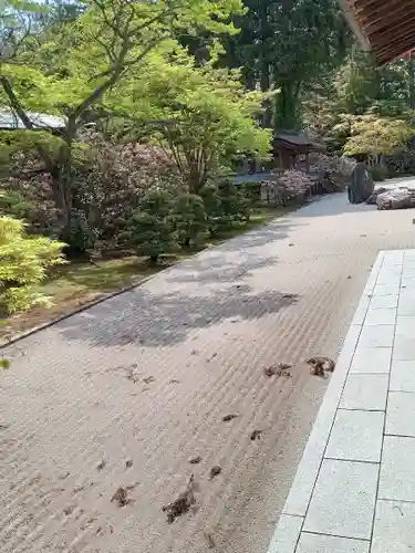 高野山金剛峯寺(和歌山県)