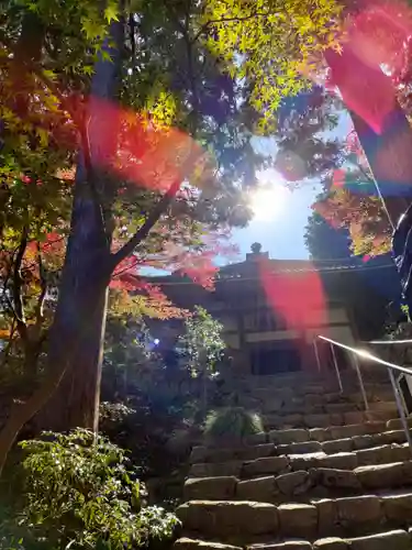 瓦屋寺の建物その他