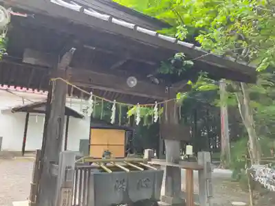 冨士御室浅間神社の手水舎