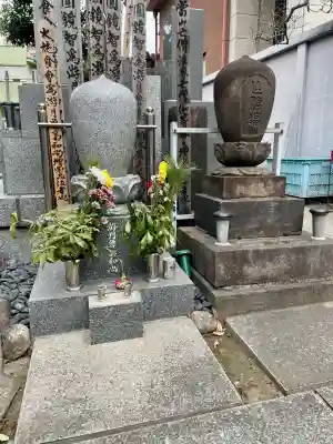 正洞院の{uncategorized: "未分類", other: "その他", undefined: "問題あり", building: "その他建物", grave: "お墓", sacred_gate: "鳥居", guardian: "狛犬", statue: "像", buddha: "仏像", history: "歴史", nature: "自然", garden: "庭園", animal: "動物", pagoda: "塔", temizu: "手水舎", mountain_gate: "山門・神門", sanctuary: "本殿・本堂", subordinate: "末社・摂社", art: "芸術", scenery: "景色", jizo: "地蔵", ema: "絵馬", goshuin: "御朱印", omikuji: "おみくじ", items: "授与品その他", amulet: "お守り", goshuincho: "御朱印帳", eats: "食事", festival: "お祭り", votive_dance: "神楽", shichigosan: "七五三参", wedding: "結婚式", experience: "体験その他", initially: "初詣", around: "周辺", anti_infection: "感染症対策"}