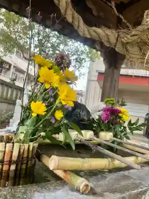 今井神社の{uncategorized: "未分類", other: "その他", undefined: "問題あり", building: "その他建物", grave: "お墓", sacred_gate: "鳥居", guardian: "狛犬", statue: "像", buddha: "仏像", history: "歴史", nature: "自然", garden: "庭園", animal: "動物", pagoda: "塔", temizu: "手水舎", mountain_gate: "山門・神門", sanctuary: "本殿・本堂", subordinate: "末社・摂社", art: "芸術", scenery: "景色", jizo: "地蔵", ema: "絵馬", goshuin: "御朱印", omikuji: "おみくじ", items: "授与品その他", amulet: "お守り", goshuincho: "御朱印帳", eats: "食事", festival: "お祭り", votive_dance: "神楽", shichigosan: "七五三参", wedding: "結婚式", experience: "体験その他", initially: "初詣", around: "周辺", anti_infection: "感染症対策"}