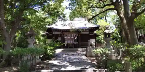 安居神社の本殿・本堂