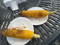 五十君神社(新潟県)