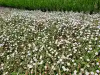 駒方神社の自然