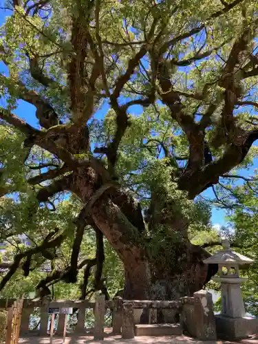 與止日女神社(佐賀県)