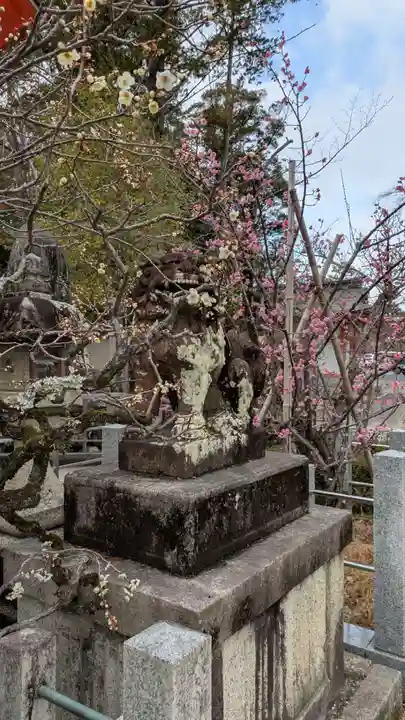 長岡天満宮の狛犬