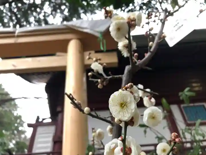水稲荷神社の鳥居