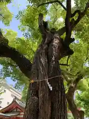 御霊神社(大阪府)