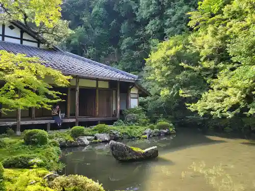 蓮華寺（洛北蓮華寺）(京都府)
