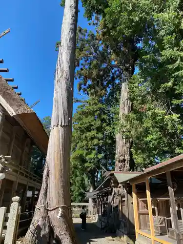 豊受大神社(京都府)