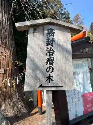 稗田野神社(薭田野神社)(京都府)
