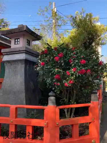 枚聞神社(鹿児島県)