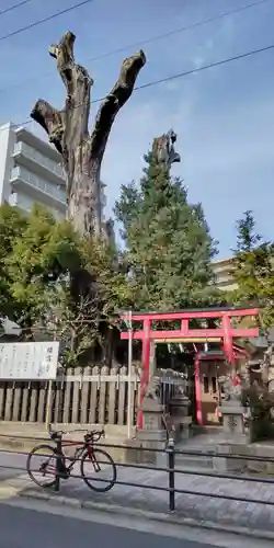 櫻宮御旅所(大阪府)