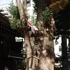 三輪神社(愛知県)