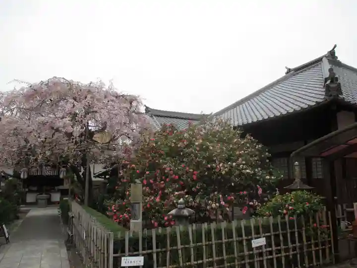 地蔵院(椿寺)の庭園