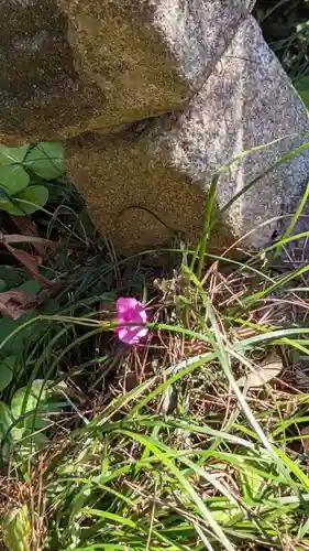 持宝院の庭園