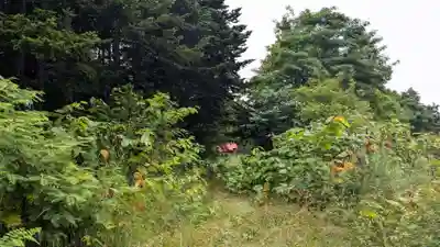 本郷神社の自然