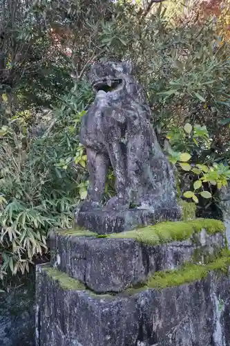 熊野那智大社の狛犬