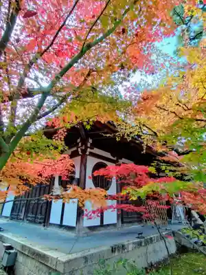 禅林寺(永観堂)(京都府)