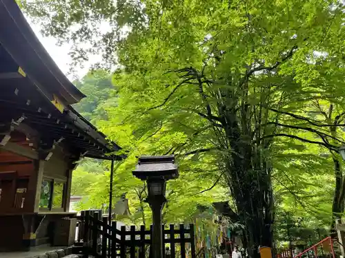 貴船神社の景色