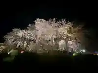 八坂神社(祇園さん)の{uncategorized: "未分類", other: "その他", undefined: "問題あり", building: "その他建物", grave: "お墓", sacred_gate: "鳥居", guardian: "狛犬", statue: "像", buddha: "仏像", history: "歴史", nature: "自然", garden: "庭園", animal: "動物", pagoda: "塔", temizu: "手水舎", mountain_gate: "山門・神門", sanctuary: "本殿・本堂", subordinate: "末社・摂社", art: "芸術", scenery: "景色", jizo: "地蔵", ema: "絵馬", goshuin: "御朱印", omikuji: "おみくじ", items: "授与品その他", amulet: "お守り", goshuincho: "御朱印帳", eats: "食事", festival: "お祭り", votive_dance: "神楽", shichigosan: "七五三参", wedding: "結婚式", experience: "体験その他", initially: "初詣", around: "周辺", anti_infection: "感染症対策"}