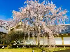 醍醐寺の建物その他