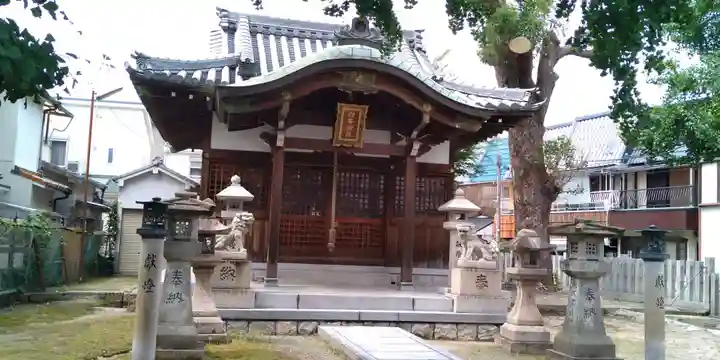 白井神社の本殿・本堂