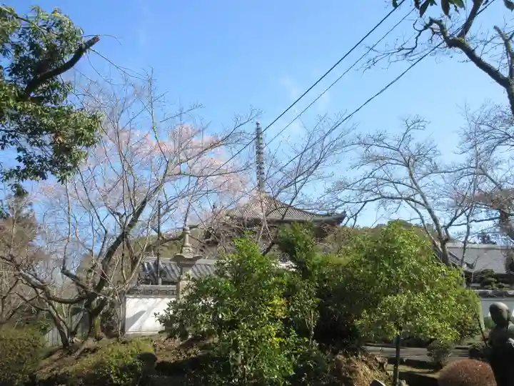 根来寺(和歌山県)